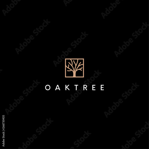 oak tree vector logo design