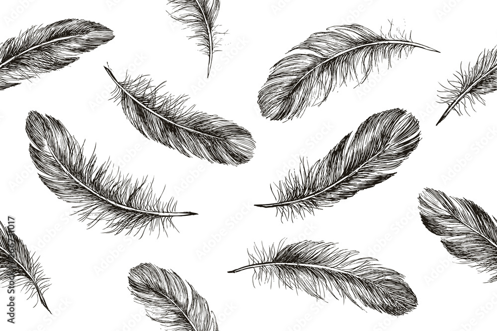 Hand drawn feathers on white background Hand drawn feathers on white background