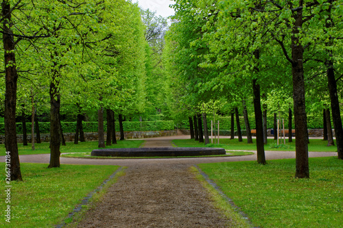 beautiful colors of nature in the spring Park