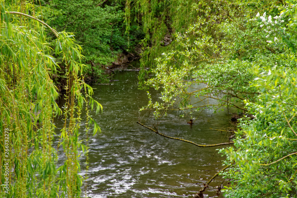 beautiful colors of nature in the spring Park beautiful colors of nature in the spring Park
