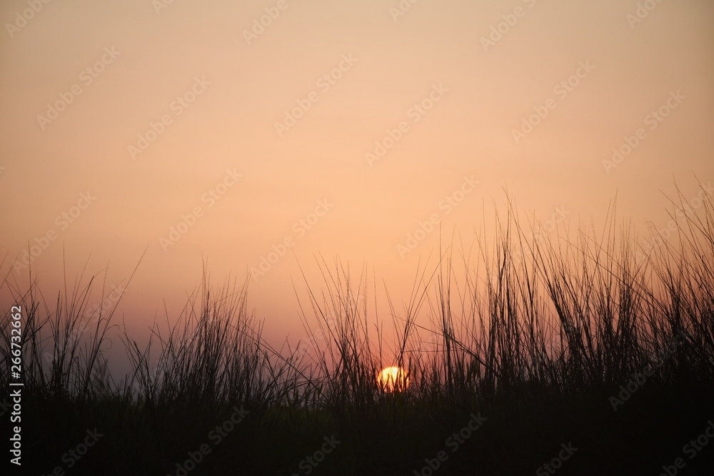 sunset sunset