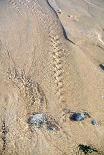 sea footprints on the beach