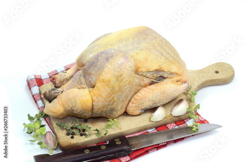 poulet photo