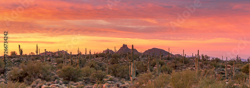 Panoramic View Of  Stunning Desert Sunrise in Scottsdale, Arizona photo