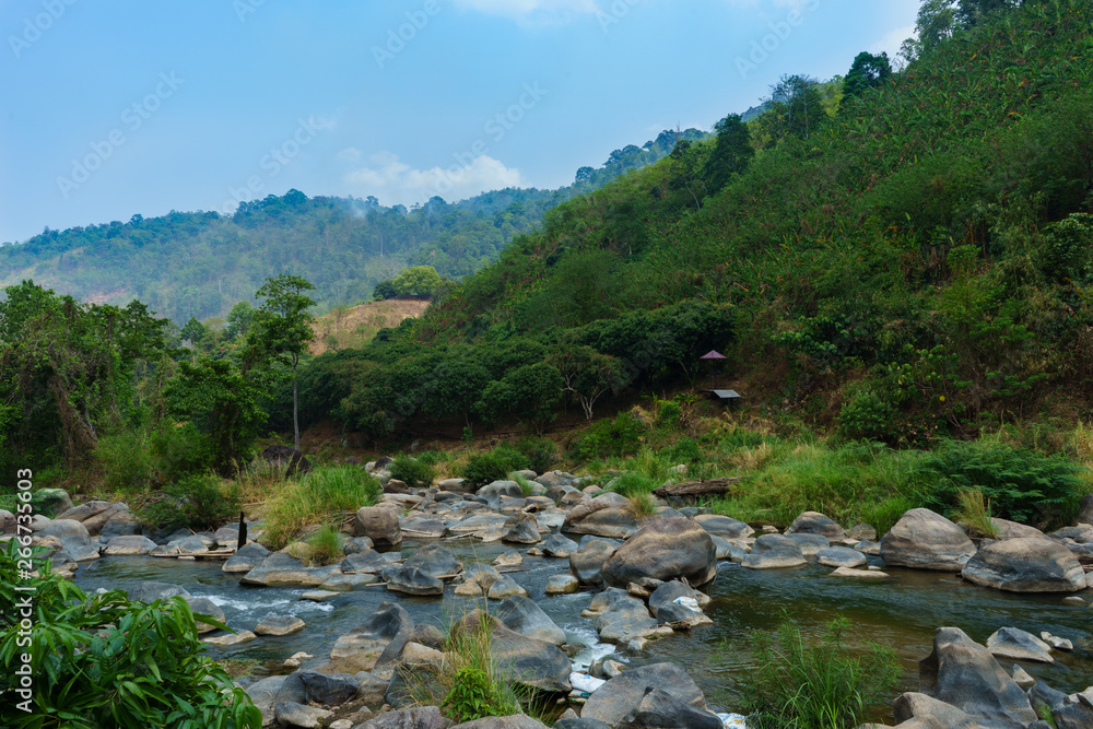 Natural river in the forest with rocks landscape view Natural river in the forest with rocks landscape view