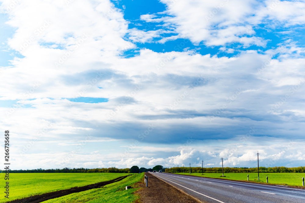 Natural landscape of trees, road and sky