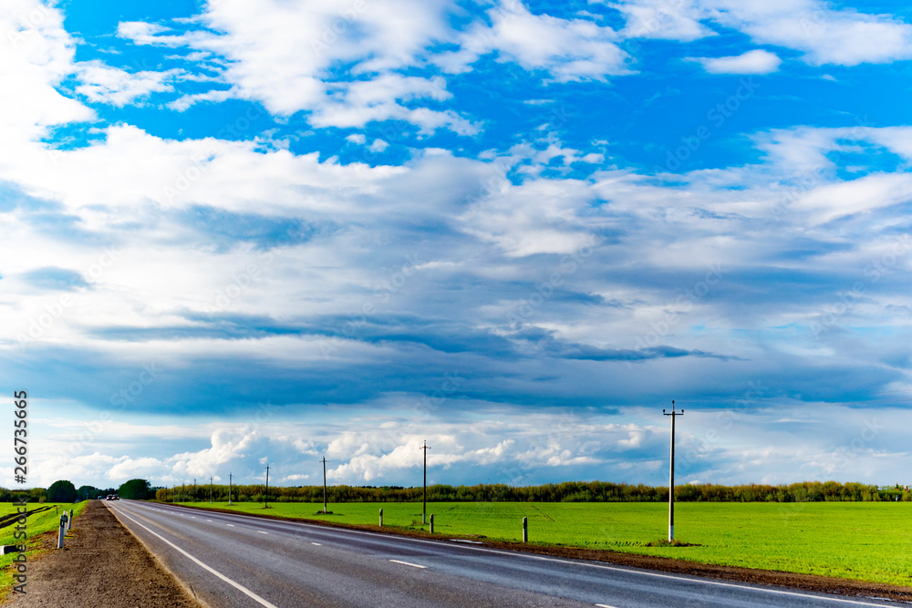 Natural landscape of trees, road and sky
