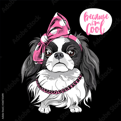 Japanese Chin dog in a pink polka dot Headband and in a Beads. Vector illustration.