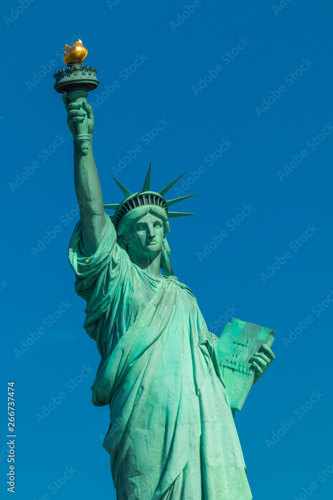 Fototapeta premium Statua Wolności w Nowym Jorku