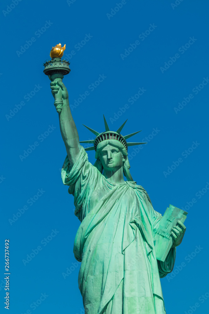 Fototapeta premium The Statue of Liberty in New York City