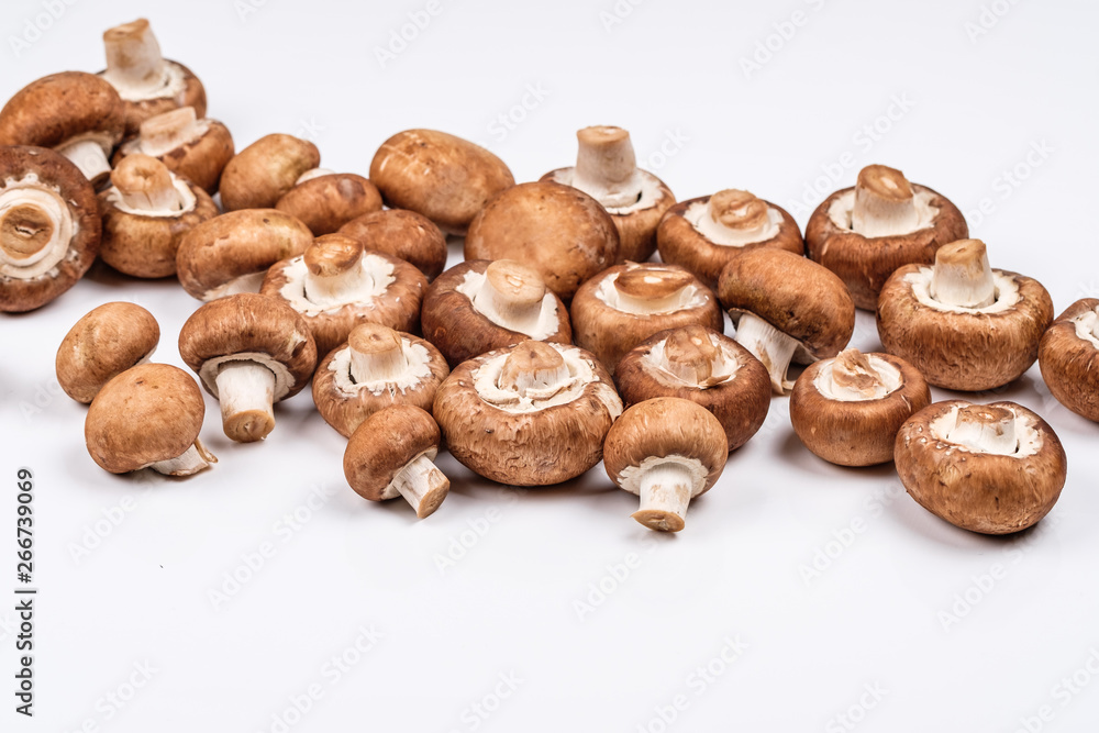 Brauner Champignon (Agaricus bisporus var. hortensis) Brauner Champignon (Agaricus bisporus var. hortensis)