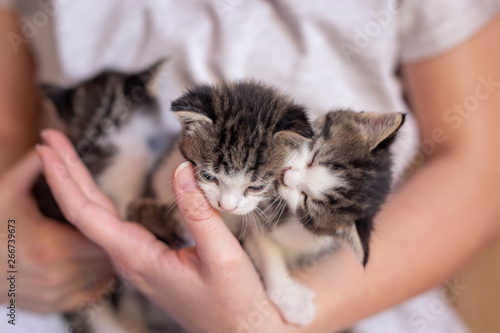 Woman holding three cute kittens
