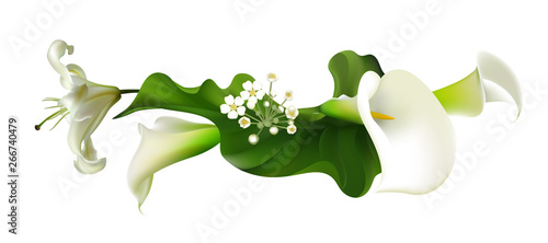 Flowers. Floral background. Callas. Green leaves. Lilies.