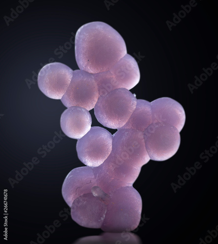 grape agate mineral rock gem stone quartz  geology specimen