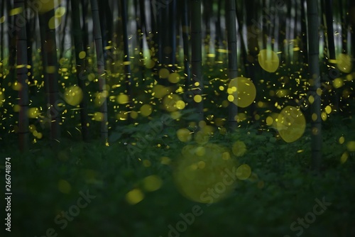 A lot of fireflies are flying in the bamboo forest at midnight.