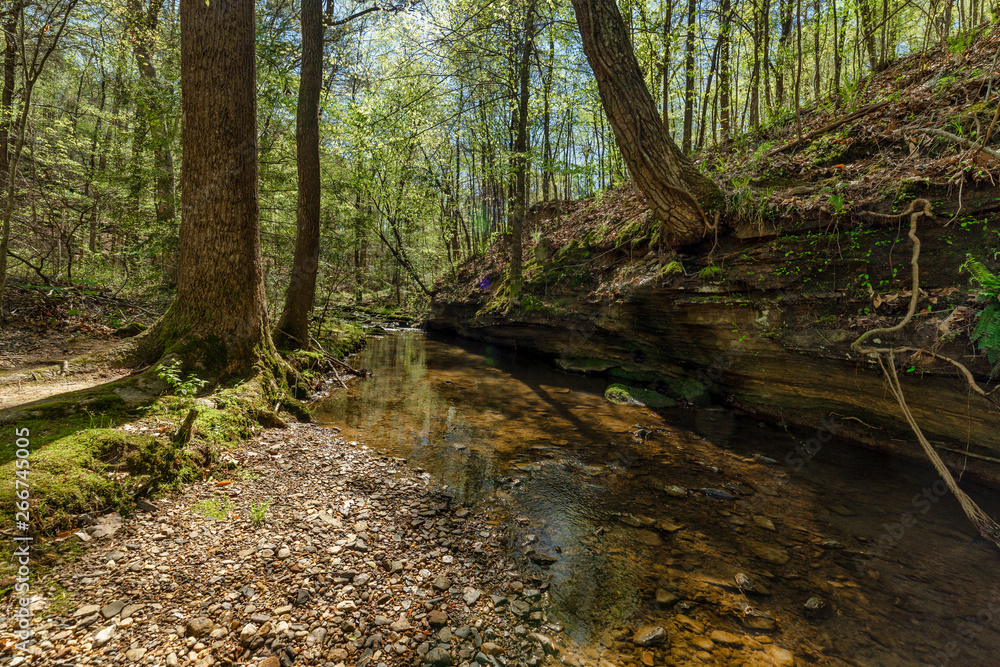 Cane Creek Nature Preserve Cane Creek Nature Preserve