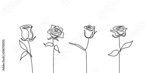 Continuous line drawing of rose flower set collections minimalism design