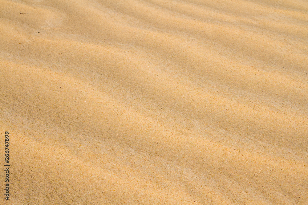 Sahara sand background. Close up. Amazing wave pattern send dune near El Oued, Algeria, North Africa, Sahara Sahara sand background. Close up. Amazing wave pattern send dune near El Oued, Algeria, North Africa, Sahara