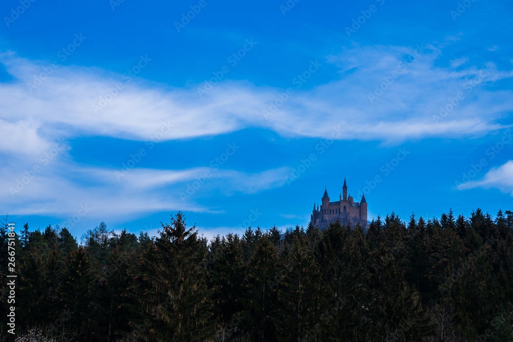 Germany, Green conifer forest surrounding hohenzollern castle