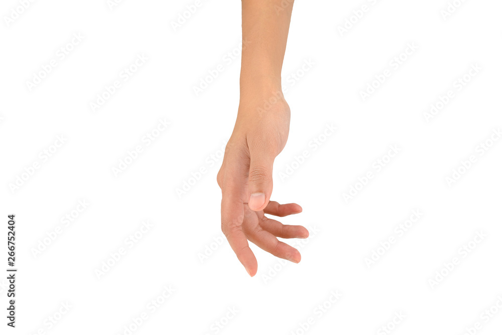 hand isolated white background and clipping path
