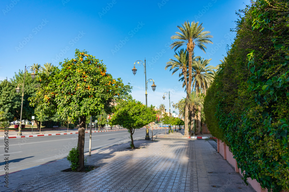 Sidewalk Lined with Orange Trees and Shrubs along a Road in Marrakech Morocco Sidewalk Lined with Orange Trees and Shrubs along a Road in Marrakech Morocco