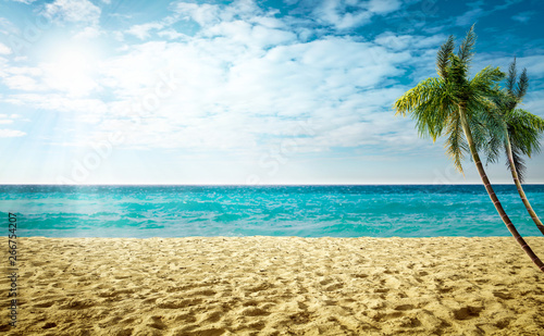 Fototapeta Naklejka Na Ścianę i Meble -  Summer photo of beach with yellow hot sand. Green palms and ocean landscape