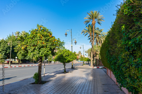Sidewalk Lined with Orange Trees and Shrubs along a Road in Marrakech Morocco