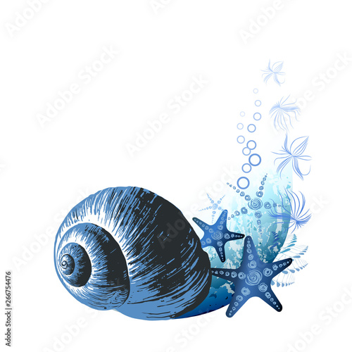 Seashells. Hand drawn vector illustration