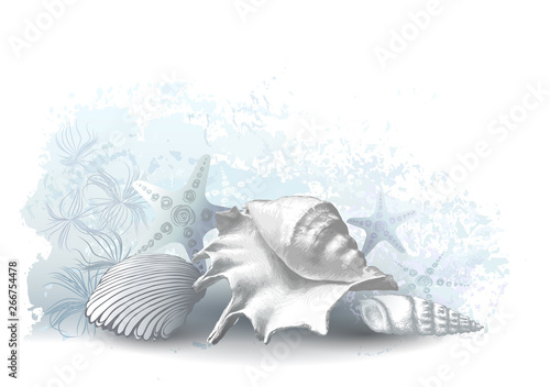 Seashells. Hand drawn vector illustration