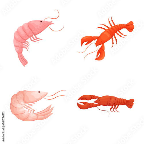 Vector illustration of shrimp and crab symbol. Set of shrimp and sea stock symbol for web.