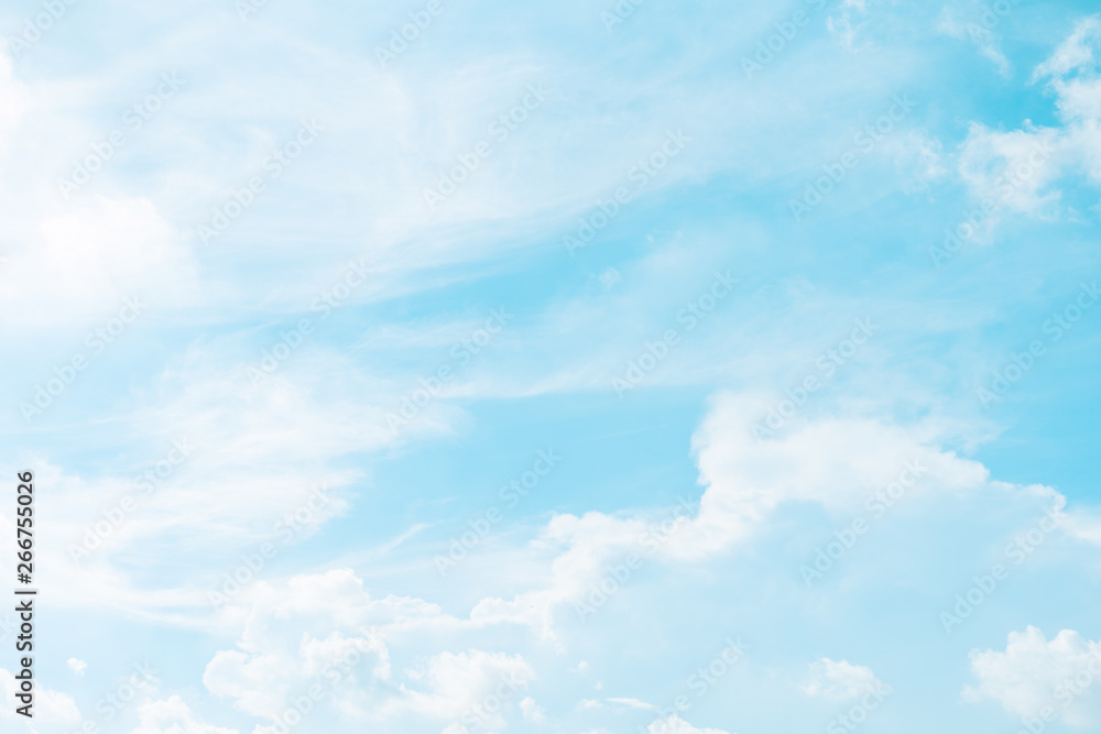 web banner spring and summer season with beauty clear and bright sky and cloudy background with copy space web banner spring and summer season with beauty clear and bright sky and cloudy background with copy space