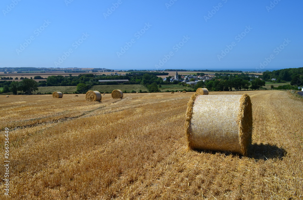 Fototapeta premium Champs de balles de Pailles à Meuvaines (Calvados - Normandie - France)
