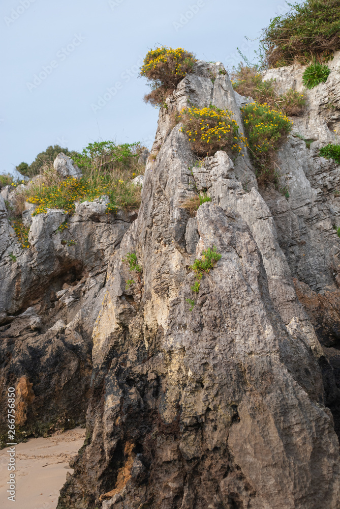 Vertical close-up of Karstic rocks with vegetation in Berellin, Prellezo, Cantabria, Spain