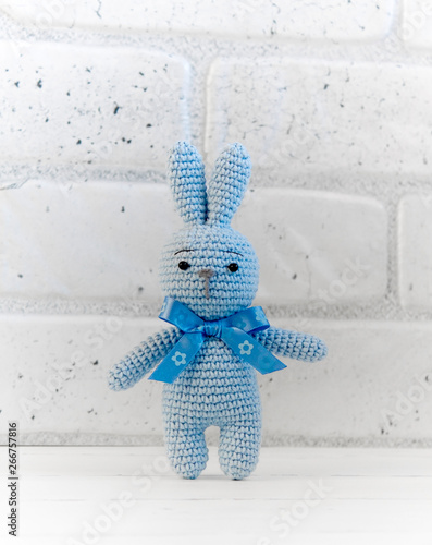 The blue bunny stands photo