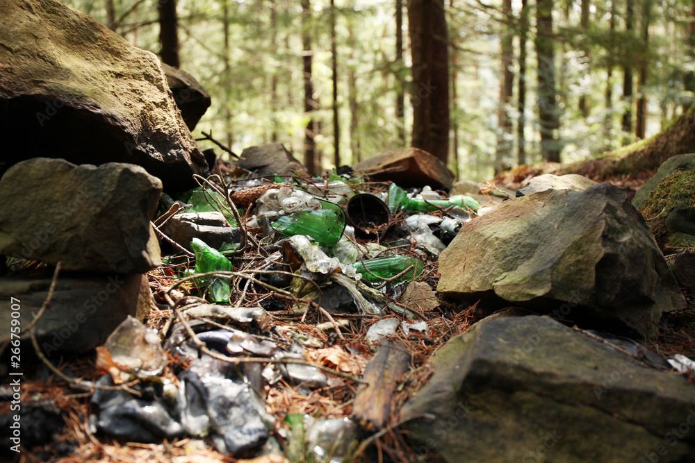 Garbage dump in forest, environmental pollution by plastic. Garbage dump in forest, environmental pollution by plastic.