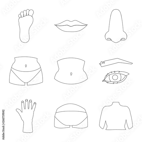 Vector design of body and part icon. Collection of body and anatomy stock vector illustration.