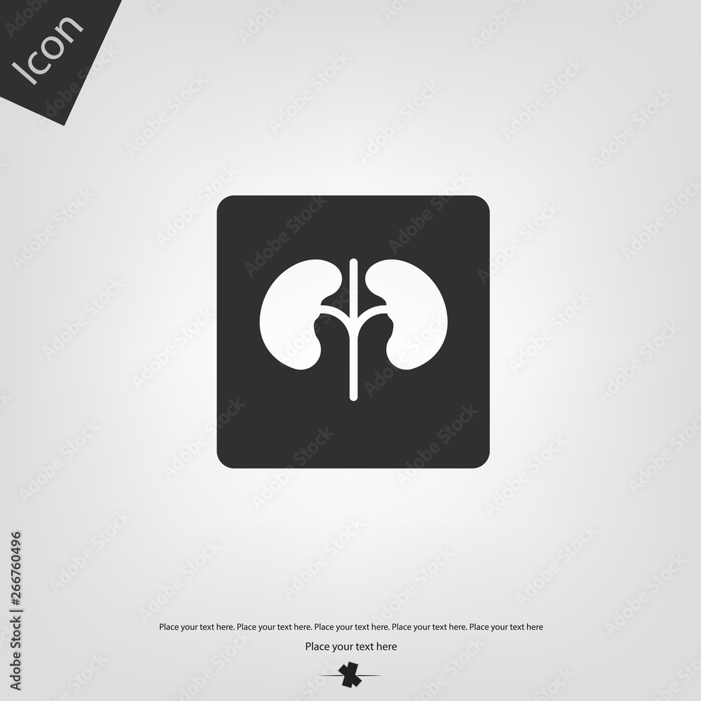 Kidney icon. Vector illustration sign. Kidney icon. Vector illustration sign.