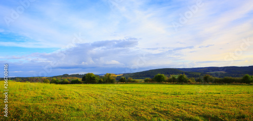 Summer landscape with trees and clouds sky .