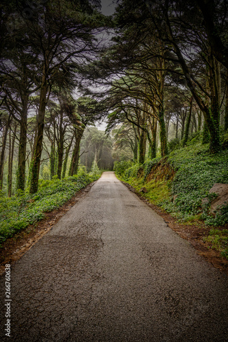 Estrada de Sintra Portugal