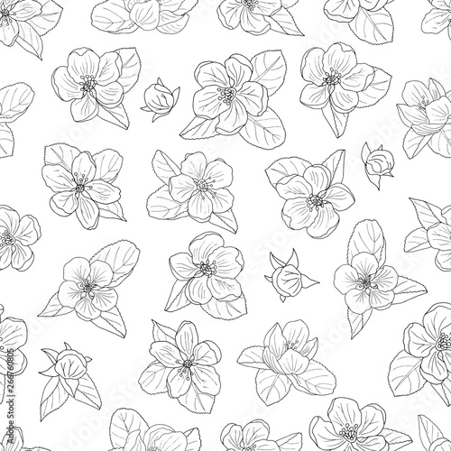 Seamless pattern of hand-drawn apple blossom  coloring page