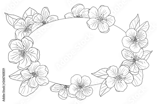 Apple blossom frame  coloring page