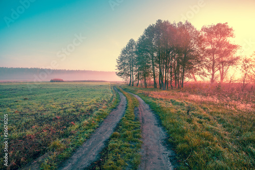 Misty autumn rural landscape at sunrise. Dirt country road in the field. Mystical morning