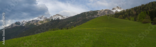 Panoramic landscape of green spring meadow with blooming flowers and trees, forest and snow covered mountain peak in Stubai valley, dramatic clouds.Neustift im Stubaital Tyrol, Austrian Alps © Kristyna