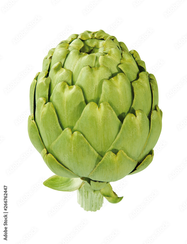 Fototapeta premium Artischocke