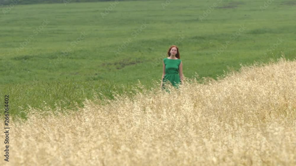 A walk between two fields.  Slow motion. A beautiful red-haired girl in a green dress is walking between the yellow and green fields.