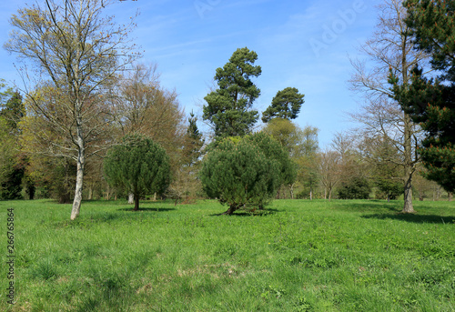 Green trees and blue skies of the Hever countryside
