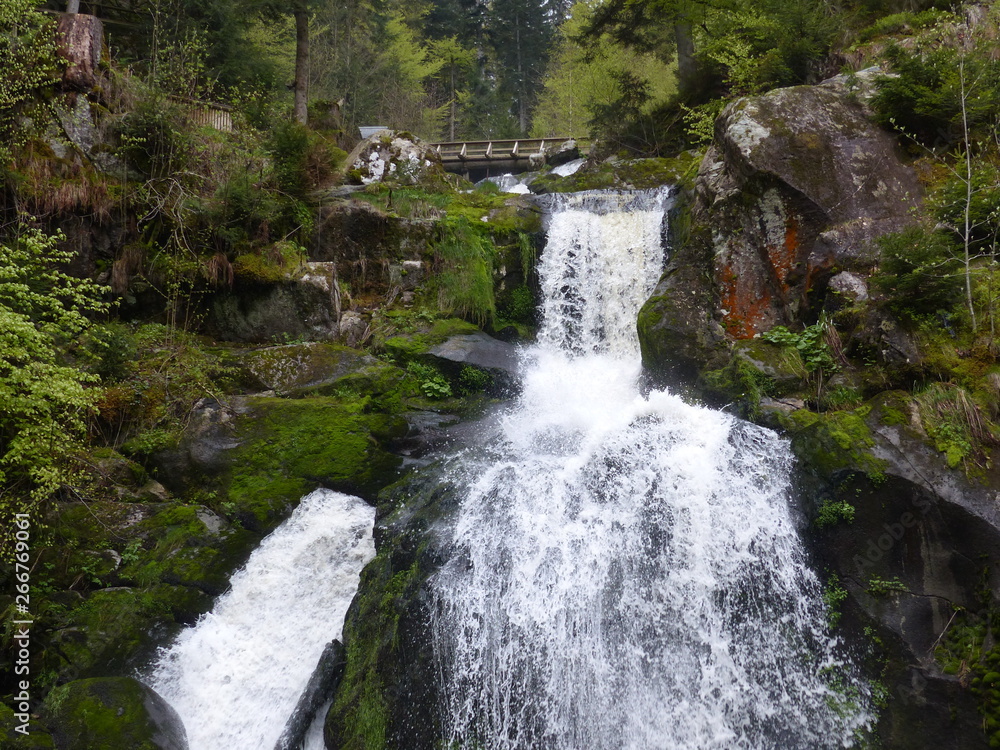 Fototapeta premium cascade triberg