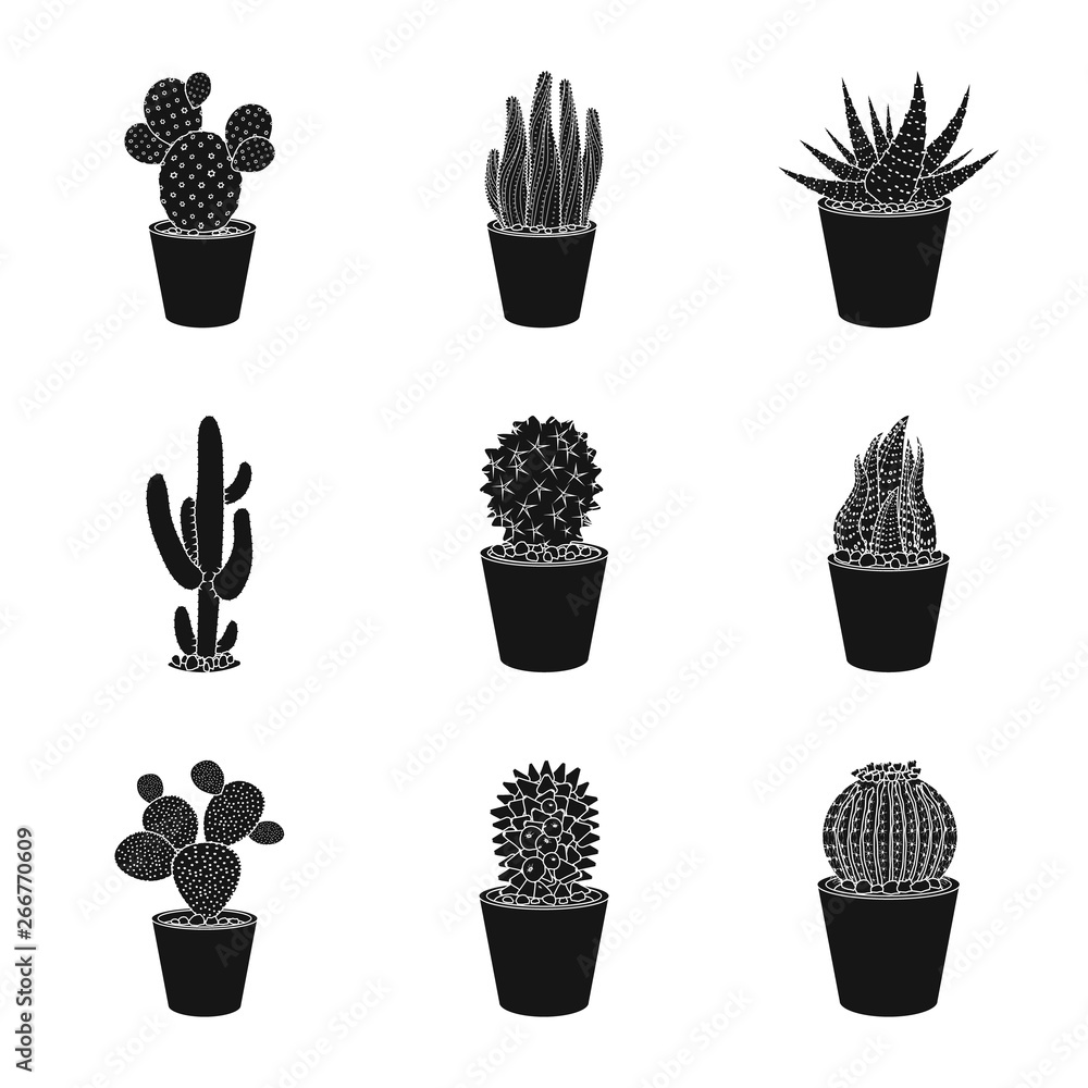 Fototapeta Vector design of cactus and pot sign. Set of cactus and cacti stock vector illustration.