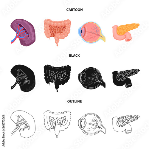 Vector illustration of body and human symbol. Collection of body and medical vector icon for stock.