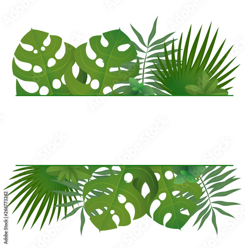 Tropic button
